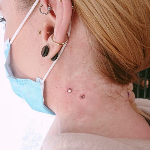 aviary-image-1605972479221