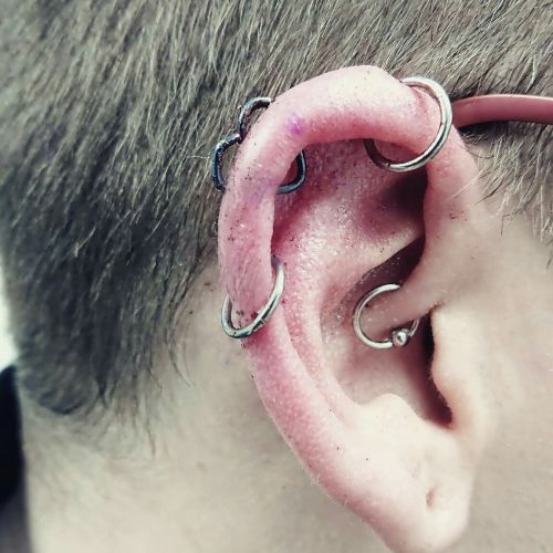 aviary-image-1605973089335